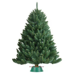Northlight 21" Wide Mouth Green And Red Watering Christmas Tree Stand - Trees Up To 8ft -Northlight 217002 in use5b15d 80427.1588396555