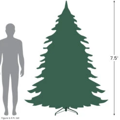 Northlight 7.5' Pre-Lit Full Winema Pine Flocked Artificial Christmas Tree - Clear Lights -Northlight 7.527 50351.1684933384