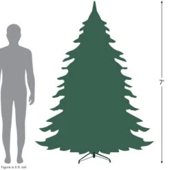 Northlight 7' Full Snowy Delta Pine With Cones Artificial Christmas Tree, Unlit -Northlight 727 96568.1684933684