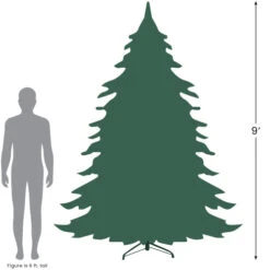 Northlight 9' Pre-Lit Full Frosted Butte Fir Artificial Christmas Tree - Clear Lights -Northlight 927 09422.1690469255