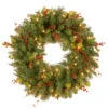 Christmas Central 24" Classical Collection Wreath With Clear Lights -Northlight cc1 301 24w 1 40202.1587644090