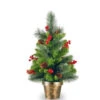 Christmas Central 2' Potted Crestwood Spruce Artificial Christmas Tree – Unlit -Northlight cw7 701 20 04176.1588344960