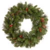 Unlit Silver Bristle, Cones, Red Berries And Glitter Artificial Christmas Wreath - 24-Inch -Northlight dnat20cw7 10 24w 1 32156.1663860828