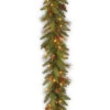 6' X 12" Pre-Lit Long Needle Pine Cone Artificial Christmas Garland– Clear Lights -Northlight dnat20dc3 178l 6b 02472.1587642911