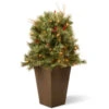 36” Pre-lit Glistening Pine Porch Bush With Clear Lights -Northlight dnat20gn19 36tlo 53585.1588348970