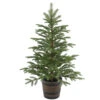 Christmas Central 4' Potted Norwegian Spruce Entrance Artificial Christmas Tree, Unlit -Northlight dnat20peng4 700 40p 69044.1588348946