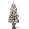 Christmas Central 5' Pre-lit Potted Snowy Bristle Pine Entrance Artificial Christmas Tree – Clear Lights -Northlight dnat20snp7 309 50 79210.1588348971