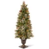 Christmas Central 5" Pre-Lit Potted Wintry Pine Artificial Christmas Tree, Clear Lights -Northlight dnat20wp1e28090302e2809050 99994.1588370679