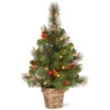 Christmas Central 2' Pre-lit Potted Vibrantly Colored Crestwood Spruce Artificial Christmas Tree – Clear Lights -Northlight dnat cw7 306 20 43134.1664379666
