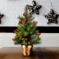 Christmas Central 2' Potted Crestwood Spruce Artificial Christmas Tree – Unlit -Northlight dnat cw7 701 20 2 18789.1639782424