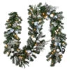 9' X 14" Pre-Lit Ornament Embellished Artificial Christmas Garland - Clear Lights -Northlight dnat dc13 309 9c 1 82259.1587645159