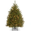 Christmas Central 4’ Pre-Lit Dunhill Fir Artificial Christmas Tree - Clear Lights 2 Christmas Central 4’ Pre-Lit Dunhill Fir Artificial Christmas Tree - Clear Lights -Northlight dnat duh 40lo 1 38160.1665087793