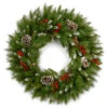 Christmas Central Frosted Pinecones And Berry Artificial Christmas Wreath, 24-Inch, Unlit -Northlight dnat frb 24w 1 1 80075.1631812959