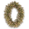 Christmas Central Pre-Lit Glittery Bristle Pine Artificial Christmas Wreath, 30-Inch, LED Lights
