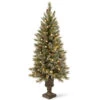 Christmas Central 4’ Pre-Lit Glittery Bristle Entrance Artificial Christmas Tree, Warm White LED Lights -Northlight dnat gb3 326 40 1 09231.1664294124