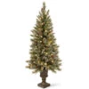 Christmas Central 5’ Pre-Lit Potted Glittery Bristle Pine Artificial Christmas Tree, White LED Lights -Northlight dnat gb3 326 50 1 55055.1631812950
