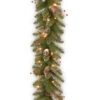 Christmas Central 9' X 10" Pre-Lit Glittery Mountain Spruce Artificial Christmas Garland, Clear Lights -Northlight dnat glm1 300 9a 1 1 20845.1631812945