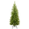 Christmas Central 4’ Kingswood Fir Pencil Artificial Christmas Tree, Unlit -Northlight dnat kw7 500 40 01 09886.1664726382