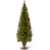 6' Pre-Lit Montclair Spruce Christmas Tree - Clear Lights -Northlight dnat mc7 308 60 01 56023.1664380273