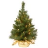 Christmas Central 2’ Pre-lit Potted Majestic Fir Tree Artificial Christmas Tree, Clear Lights -Northlight dnat mj3 24gdlo 1 01 93441.1665174309
