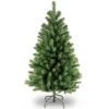 Christmas Central 4’ North Valley Spruce Artificial Christmas Tree, Unlit -Northlight dnat nrv7 500 40 1 80751.1631812678