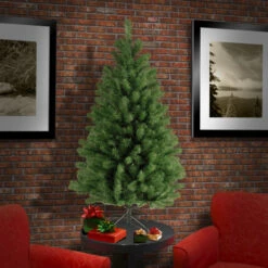 Christmas Central 4’ North Valley Spruce Artificial Christmas Tree, Unlit -Northlight dnat nrv7 500 40 3 55449.1631812679