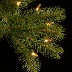 Christmas Central 7.5' Pre-Lit Douglas Fir Artificial Christmas Tree, Clear Lights -Northlight dnat pedd1 323 75 3 94284.1631812955
