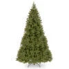 10’ Downswept Fir Artificial Christmas Tree - Unlit -Northlight dnat pedd1 503 100 1 73157.1631812669
