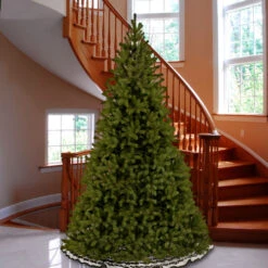 10’ Downswept Fir Artificial Christmas Tree - Unlit -Northlight dnat pedd1 503 100 3 98677.1631812670