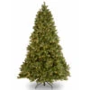 Christmas Central 7' Pre-Lit Downswept Douglas Fir Artificial Christmas Tree, Clear Lights 1 Christmas Central 7' Pre-Lit Downswept Douglas Fir Artificial Christmas Tree, Clear Lights -Northlight dnat pedd3 312 70 1 69283.1631811179