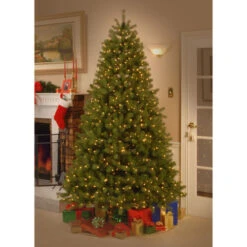 Christmas Central 7' Pre-Lit Downswept Douglas Fir Artificial Christmas Tree, Clear Lights -Northlight dnat pedd3 312 70 4 75040.1631811181