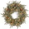Christmas Central Pre-Lit Frosted Arctic Spruce Artificial Christmas Wreath, 24-Inch, Clear Lights -Northlight dnat pefa1 307 24w 1 1 97523.1631812679