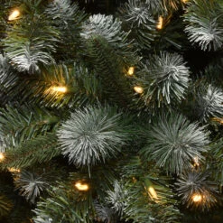 6.5’ Pre-Lit Finley Pine Artificial Christmas Tree - Clear Lights -Northlight dnat pefi38 307 65 2 88463.1587645165