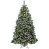 6.5’ Pre-Lit Finley Pine Artificial Christmas Tree - Clear Lights -Northlight dnat pefi38 307 65 12871.1587645165