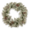Christmas Central 30" Pre-Lit Frosted Mountain Spruce Artificial Christmas Wreath, Battery Operated Clear Lights -Northlight dnat pefm3 300 30wb1 1 50817.1631810857