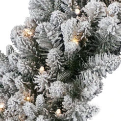 Christmas Central Pre-Lit Snowy Iceland Fir Artificial Christmas Wreath, 24-Inch, Warm White Lights -Northlight dnat peil2 300 24wb1 3 91364.1631811755