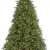 Christmas Central 9’ Pre-Lit Medium Jersey Fraser Fir Artificial Christmas Tree, White Lights -Northlight dnat pejf1 300 90 01 00894.1631812961