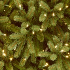 Christmas Central 9’ Pre-Lit Medium Jersey Fraser Fir Artificial Christmas Tree, White Lights -Northlight dnat pejf1 300 90 3 65005.1631812962
