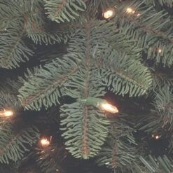 Christmas Central 7.5’ Pre-Lit Blue Mountain Noble Spruce Artificial Christmas Tree, Clear Lights -Northlight dnat pembs3 300 75 3 56452.1631812655