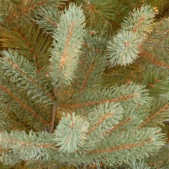 Christmas Central 7.5’ Norway Fir Artificial Christmas Tree, Unlit -Northlight dnat penf1 500 75 3 41236.1631812960