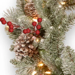 Christmas Central Pre-Lit Snowy Bristle Berry Artificial Christmas Wreath, 24-Inch, White LED Lights -Northlight dnat pesb3 300 24wbr 3 65508.1665347957