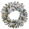 24" Pre-Lit LED Snowy Sheffield Spruce Artificial Christmas Wreath - Multi Lights -Northlight dnat pesl3 315dk24wb 1 91549.1664379973