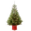 Christmas Central 6' Pre-Lit Potted Topeka Spruce Entrance Medium Artificial Christmas Tree, Clear Lights -Northlight dnat petp2 310 60 1 66094.1587645155