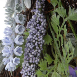 Christmas Central Lavender Artificial Wreath - 24-Inch -Northlight dnat ras hy27524w l1 2 31751.1631812647