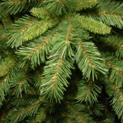 Christmas Central Artificial Christmas Trees/Unlit Christmas Trees/6 And 6.5 Feet Tall Christmas Trees -Northlight dnat tfslh 65 3 42929.1664900743