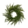 Fern Twig Round Artificial Wreath, Green 26-Inch -Northlight dson 2518140ec 1 50649.1587645163