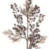 Melrose 31" Antique Brown Plum Cedar Artificial Christmas Spray -Northlight hx5nmtwtqqvuilhmentqzhnlmdltrr86 49047.1588415592