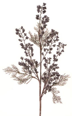 Melrose 31" Antique Brown Plum Cedar Artificial Christmas Spray