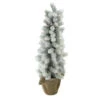 Northlight 2ft Potted Flocked Mini Pine Slim Christmas Tree With Berries - Unlit -Northlight iufjbtciuvh8sdlatpquizke0rqpf1o2 08148.1588357296