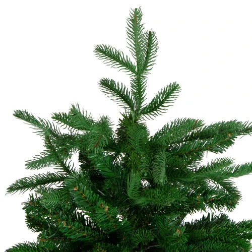 Northlight 7' Nordmann Spruce Artificial Christmas Tree - Unlit 5 Northlight 7' Nordmann Spruce Artificial Christmas Tree - Unlit - Image 3